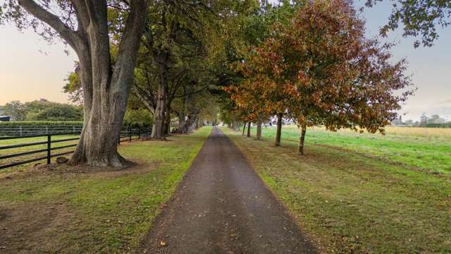 505 Bruntwood Road Tamahere_3