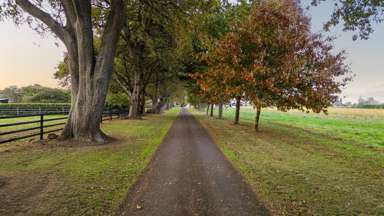 505 Bruntwood Road_3