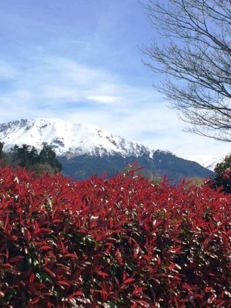 82 Pattons Road Mount Somers_16