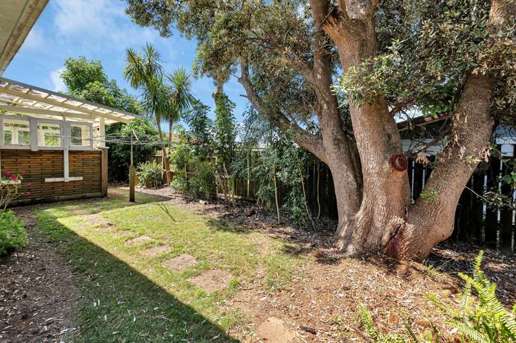 98 Paramount Parade Tikipunga_22