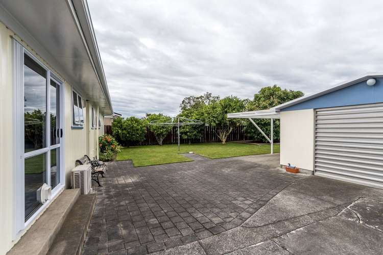 31 Plunket Street Tamatea_9