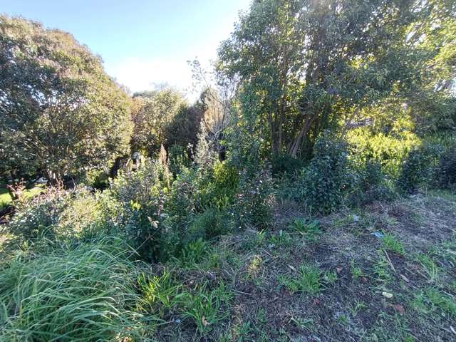 418 Don Buck Road Massey_3