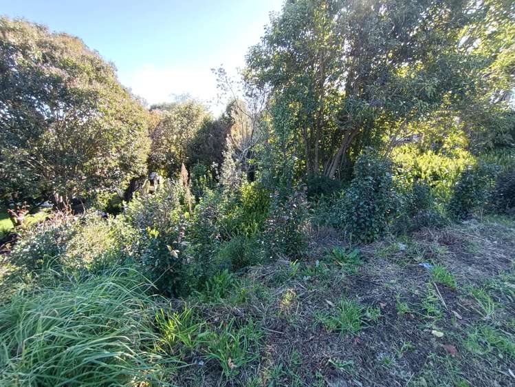 418 Don Buck Road_3