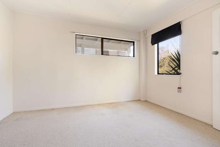19 Ninth Avenue Tauranga_9
