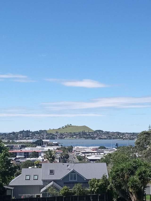 One bedroom Onehunga-bills included
