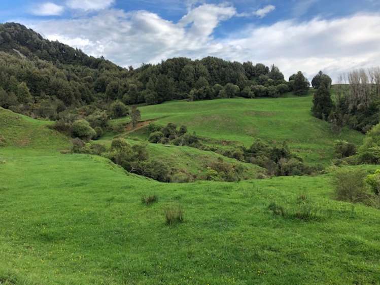 3434 State Highway 4 Aria_7