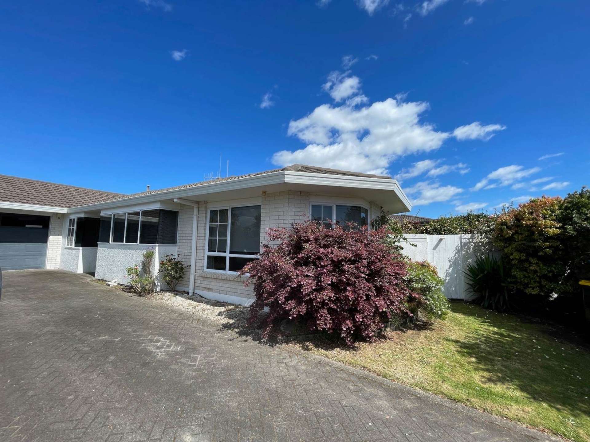 17 Abelia Avenue Mt Maunganui_0