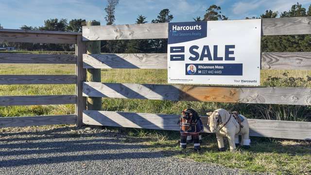 457 Barkers Road Loburn_4