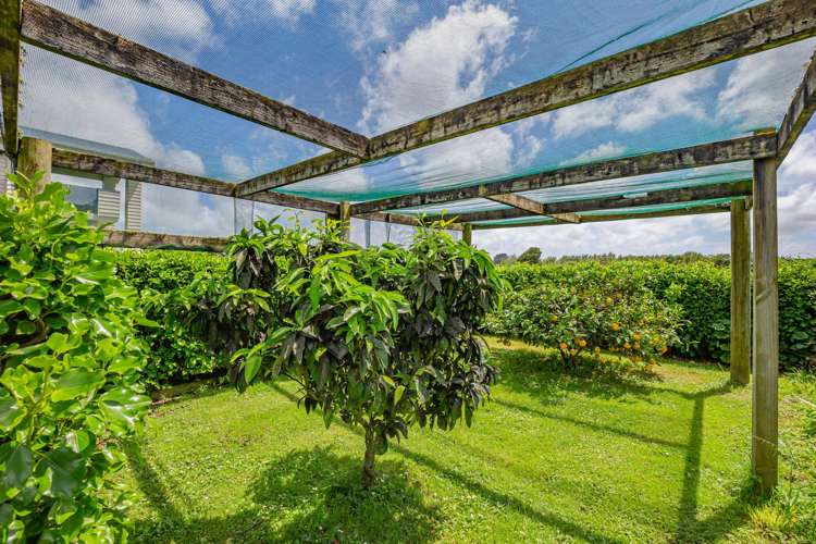 134 Fairfield Road Levin_18