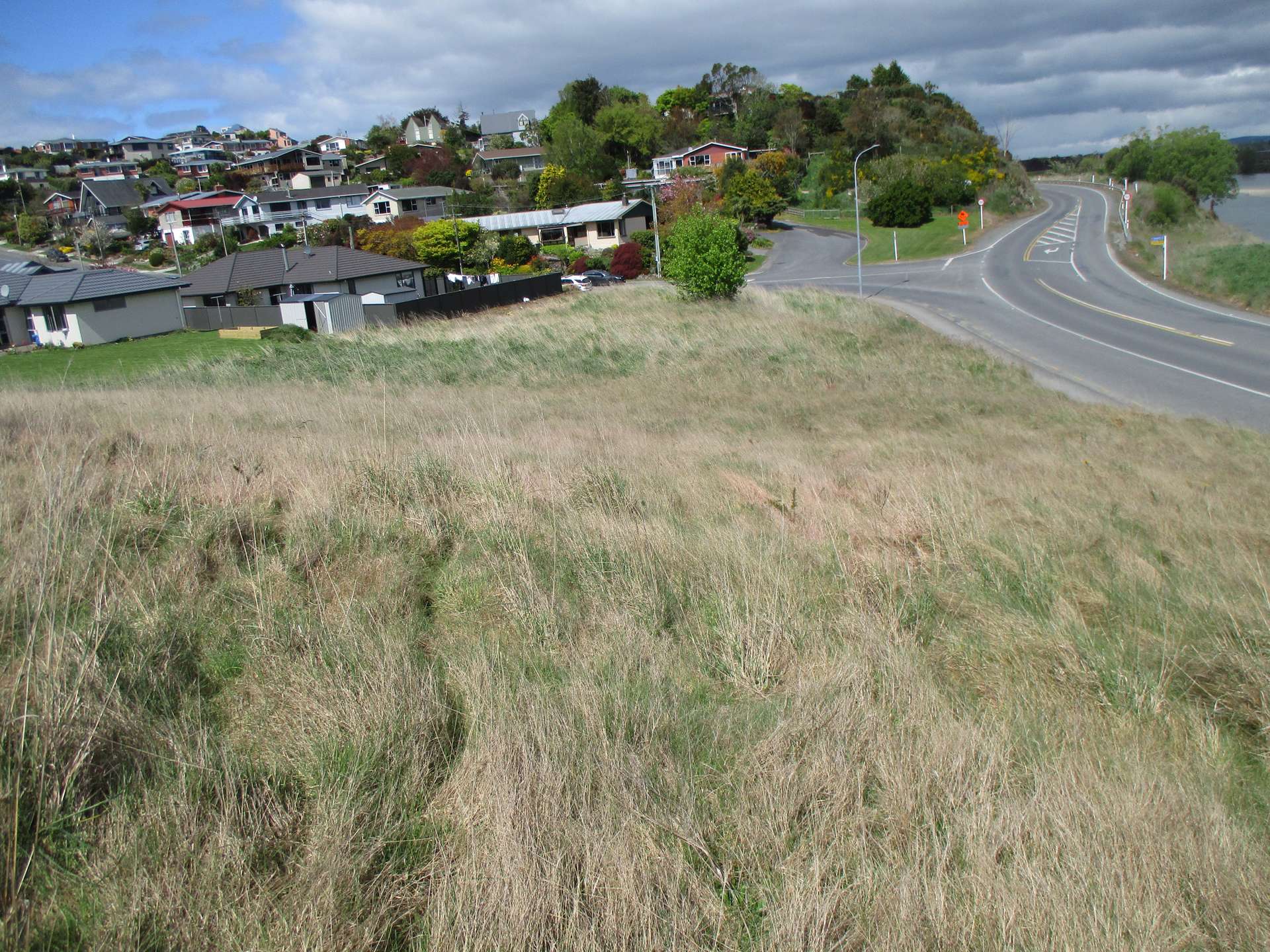 77 Hasborough Place Balclutha_0