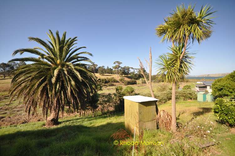 32 Sandy Beach Road Tinopai_24