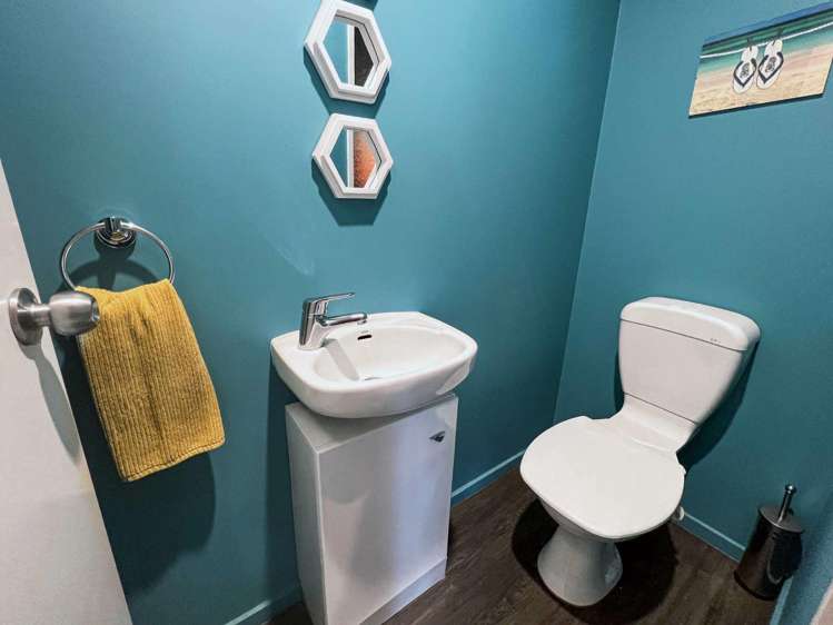 44 Browning Street Sydenham_16