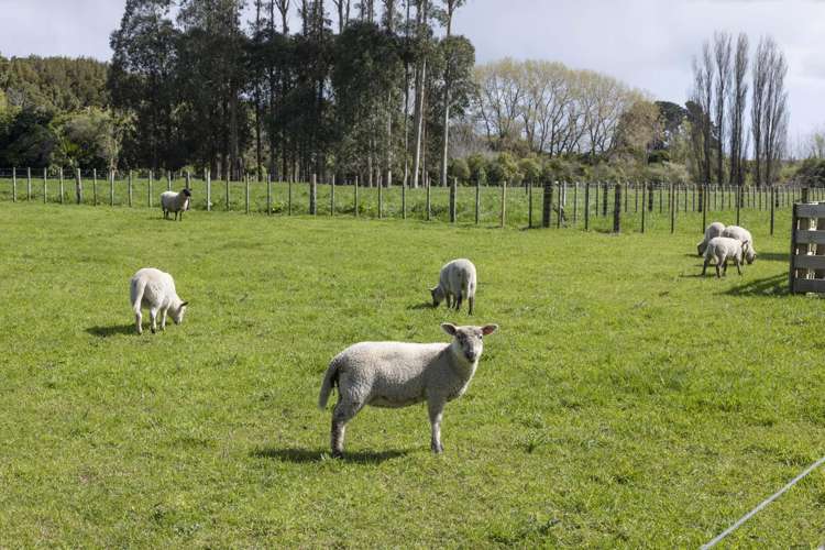 225 Waitohu Valley Road Otaki_15