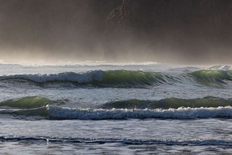276 Bethells Road Bethells Beach_23