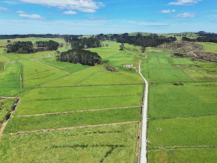 454 West Coast Road Te Kopuru_11