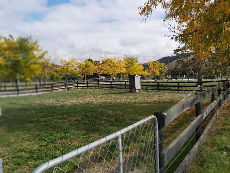 367 Wakefield-Kohatu Highway Wakefield_9