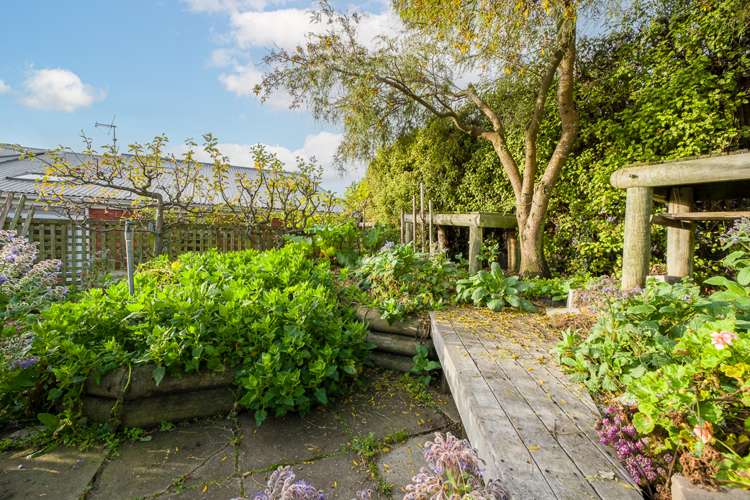 264 Mount Pleasant Road Mount Pleasant_17