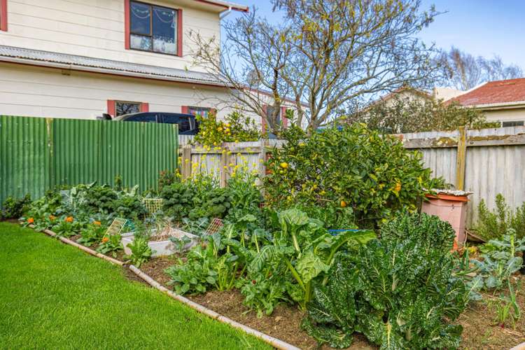 22 Kepa Street Whanganui East_4