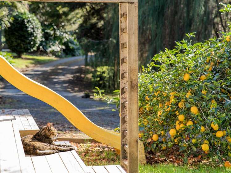 121C Waimate North Road Kerikeri_21