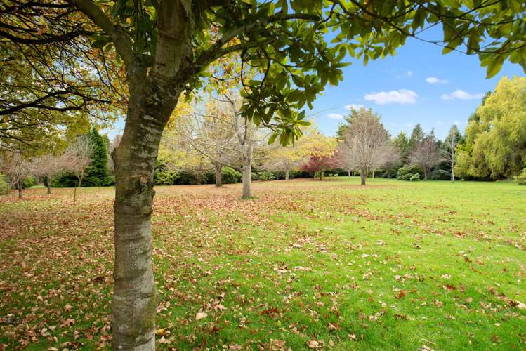 12 Braudigam Road West Tapanui_19