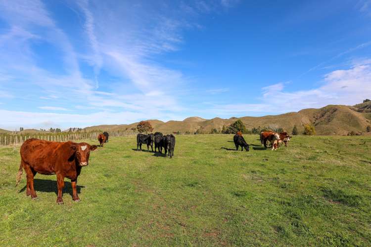 Hihi Street Ohura_10