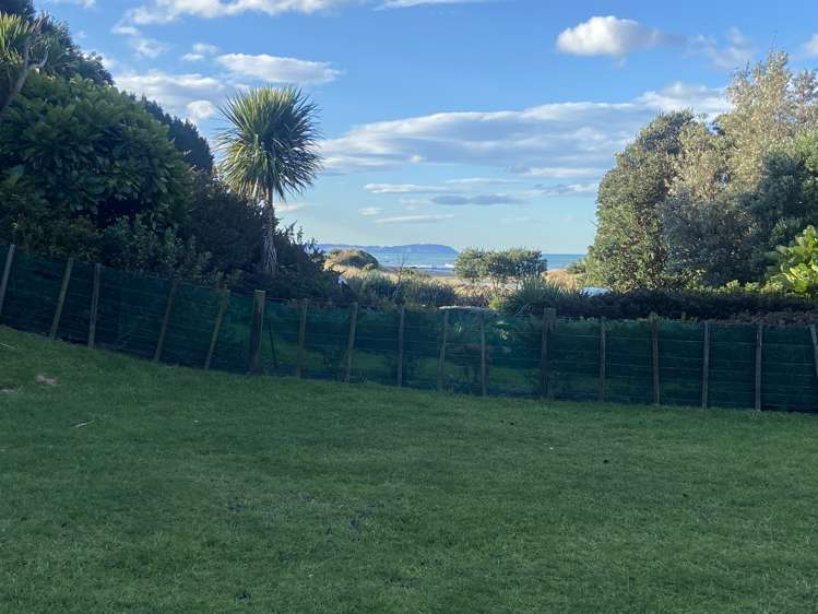 5 Mcgregor Lane Ashburton_12