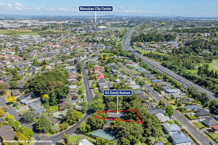 44 David Avenue Hill Park_18