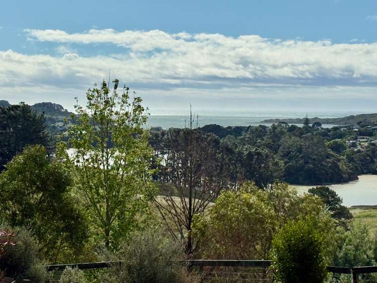 64 Hills Road Raglan_44