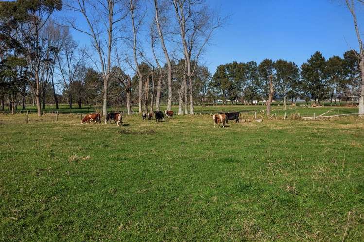 54 Lewis Road Otakiri_11