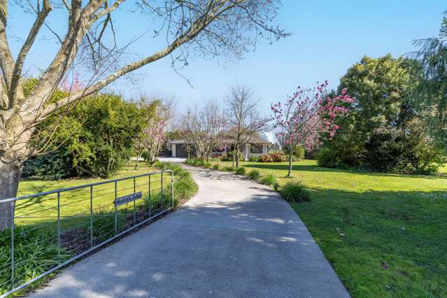 895 Tauwhare Road Tauwhare_2