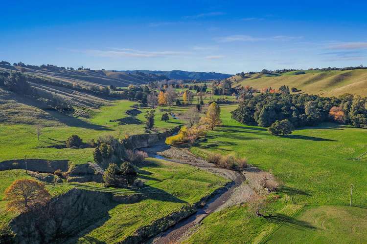356 Eighty Eight Valley Road Eighty Eight Valley_27