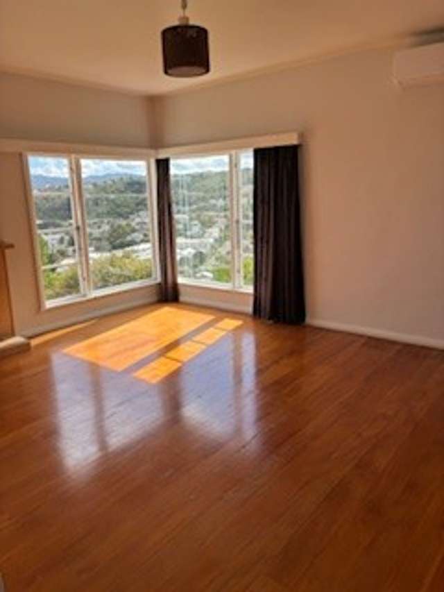 93 Nevay Road Miramar_4