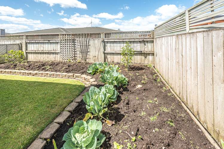 6 Kelsi Street Tawhero_22