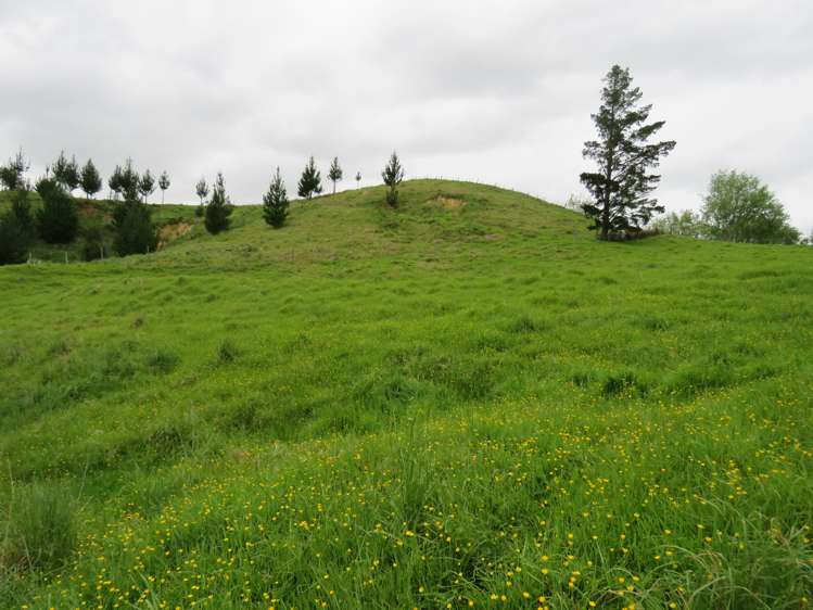 289 Franklin Road Paparoa_31