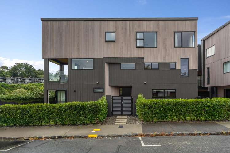 53d Regina Street Westmere_23