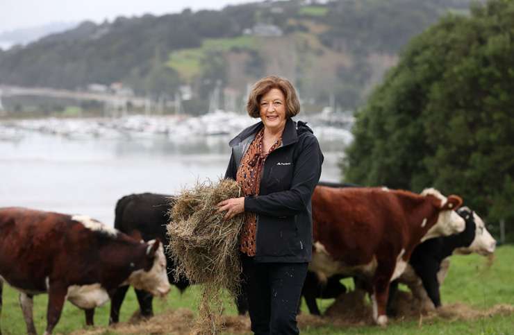 Harcourts agent Jeneen Binsted on her farm in Matakana