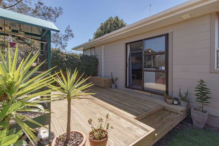 64 Wynyard Crescent Tamatea_2