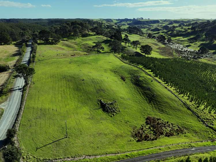 Babylon Coast Road Dargaville_5