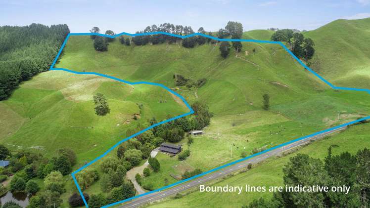 1765 Tutukau Road Kinloch_3