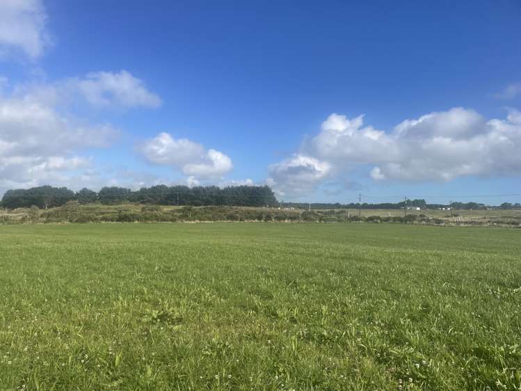 270 Wiremu Road Te Kiri_4