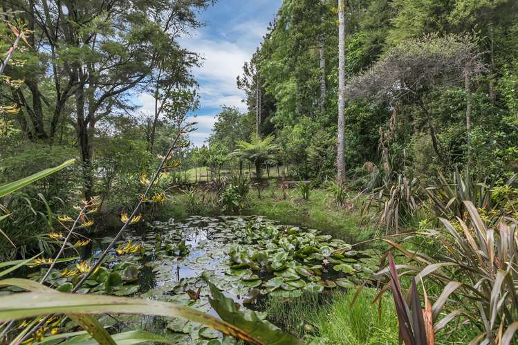 142 Wade River Road Wade Heads_6