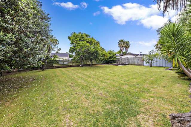 12 Sunnypark Avenue Rosehill_4