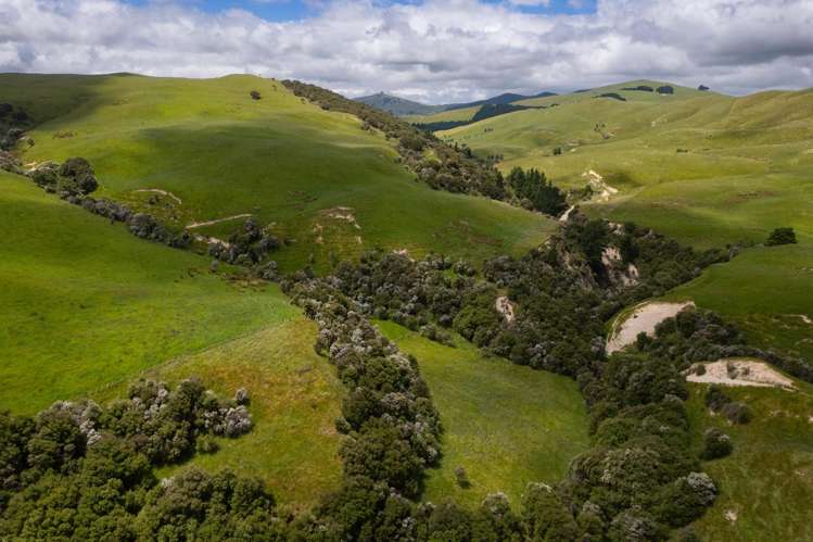 83 Towai Road Dannevirke_22