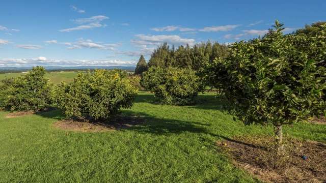 1327 Te Matai Road Te Ranga_4