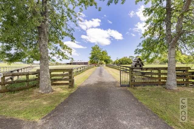 522 State Highway 16 Kumeu_3