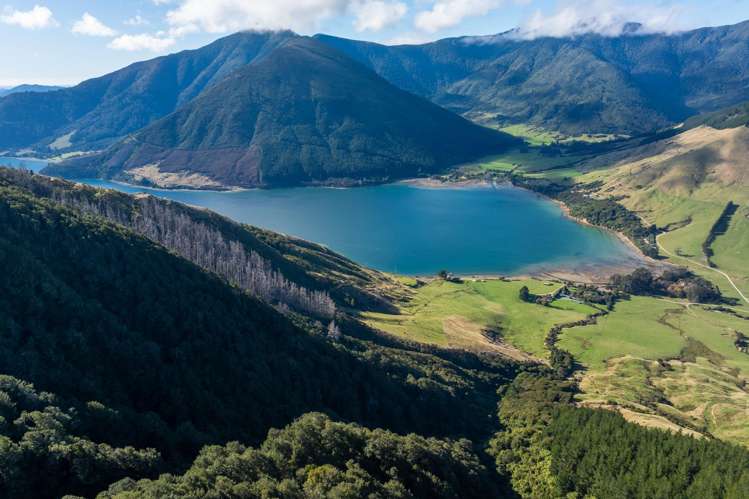 803 Manaroa Road Marlborough Sounds_39