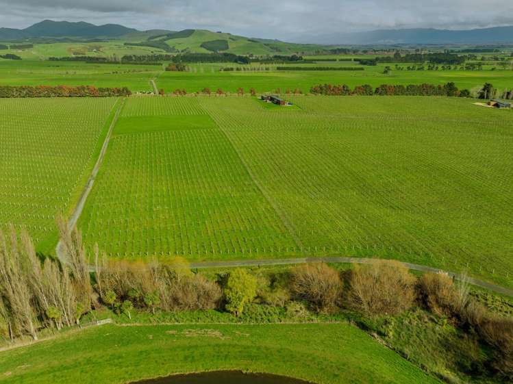 Lot 3 Willow Lane Martinborough_7