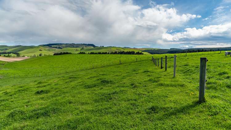 1443 Omihi Road Omihi_36