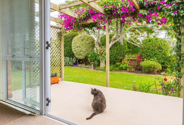 1/458 Blockhouse Bay Road Blockhouse Bay_4