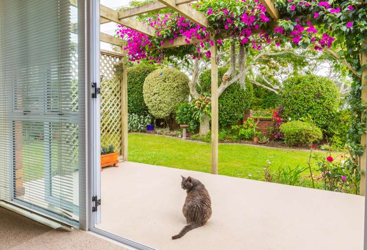 1/458 Blockhouse Bay Road Blockhouse Bay_4